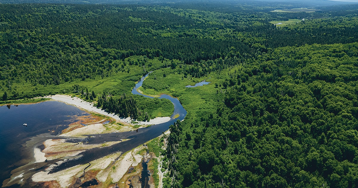 Charlie's Place, NL (Photo Yana Sloat)