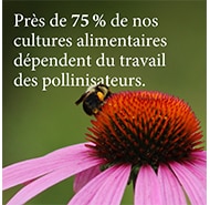 NatureMakesItPossible Image01