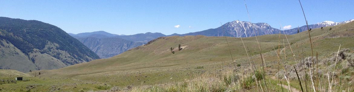 Sparrow Grasslands, South Okanagan Similkameen, BC (Photo by NCC)