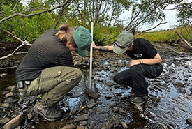 Surveillance d'un cours d’eau, Vallée Codroy, T.-N.-L. (Photo Jennifer Sullivan)