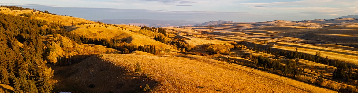 Bunchgrass Hills. (Photo by Steve Ogle)