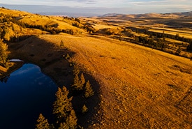 Bunchgrass Hills in the fall. (Photo by Steve Ogle)