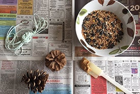 Pinecone Feeder Step1 NCC RB Thumb