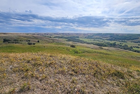 Upper Bone Creek, Cypress Uplands, SK (Photo: Michael Burak/NCC)