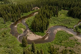 Les terres forestières de Kootenay abritent plus de 930 kilomètres de cours d’eau (Photo Nick Nault)