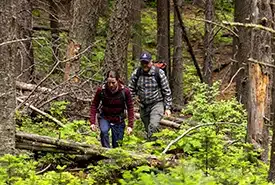 Randonnée parmi les arbres dans les terres forestières de Kootenay, C.-B. (Photo Nick Nault)