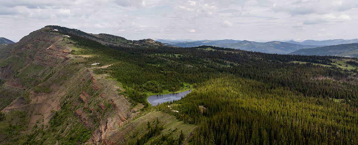 Kootenay Forest Lands. (Photo: Nick Nault)