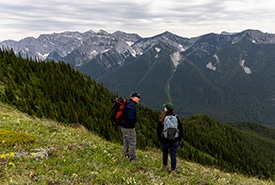 Rare high-elevation grasslands at Kootenay Forest Lands. (Photo: Nick Nault)