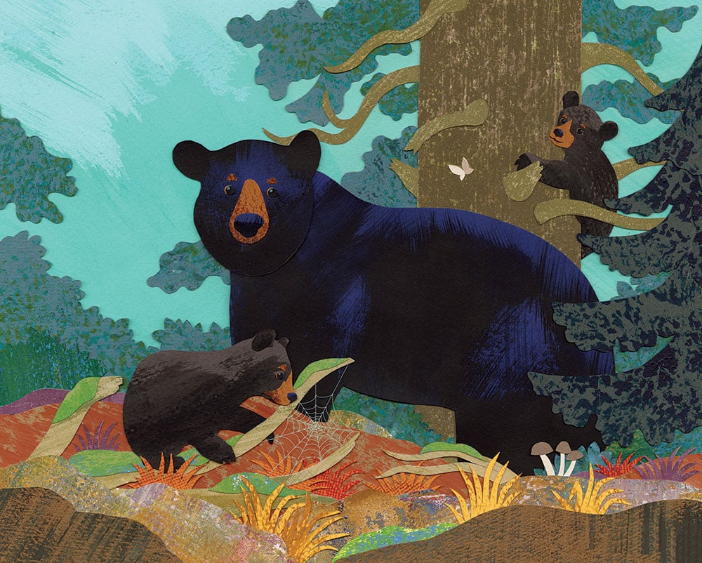 Illustration by Ashely Barron.