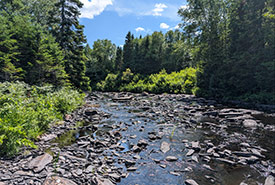 Lac Gander, T.-N.-L. (Photo Piers Evans/NCC-CNC)