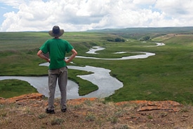 Hero Image Website 275x185 NLS Calgary 2026