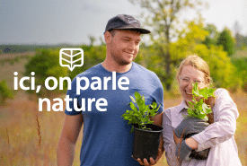 WebpageThumbnail 275x185 EN