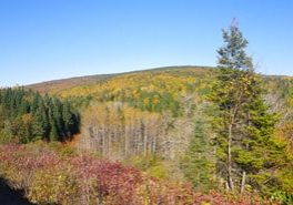 Corridor Forillon (CNC)Forillon corridor (NCC)