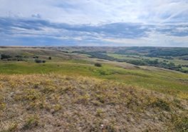 Upper Bone Creek, Cypress Uplands, SK (Photo: Michael Burak/NCC)