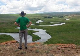 Hero Image Website 275x185 NLS Calgary 2026