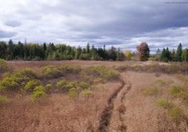 Photo: VMG Cinematic