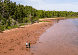 Photo: Stephen DesRoches