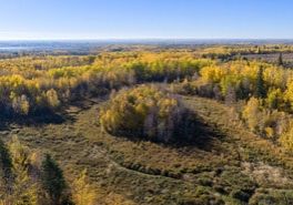 Photo: Cole Niawchuk